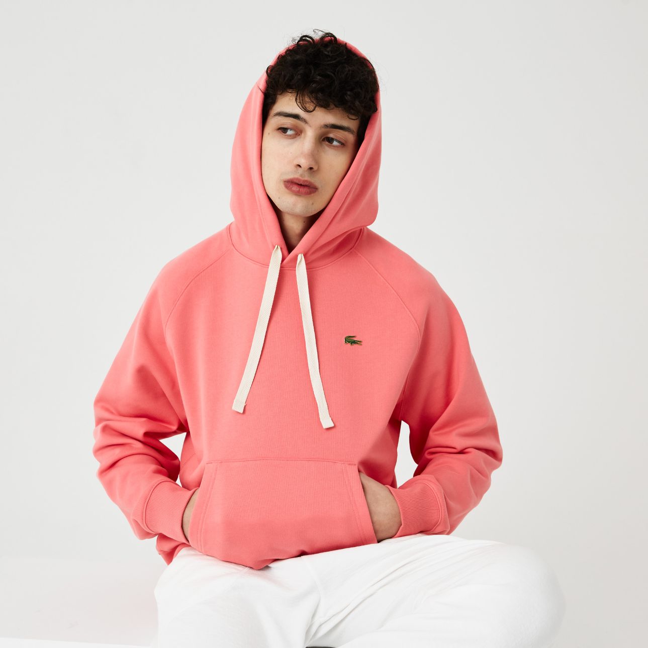 Толстовка Lacoste , для мужчин Толстовка Lacoste , для мужчин